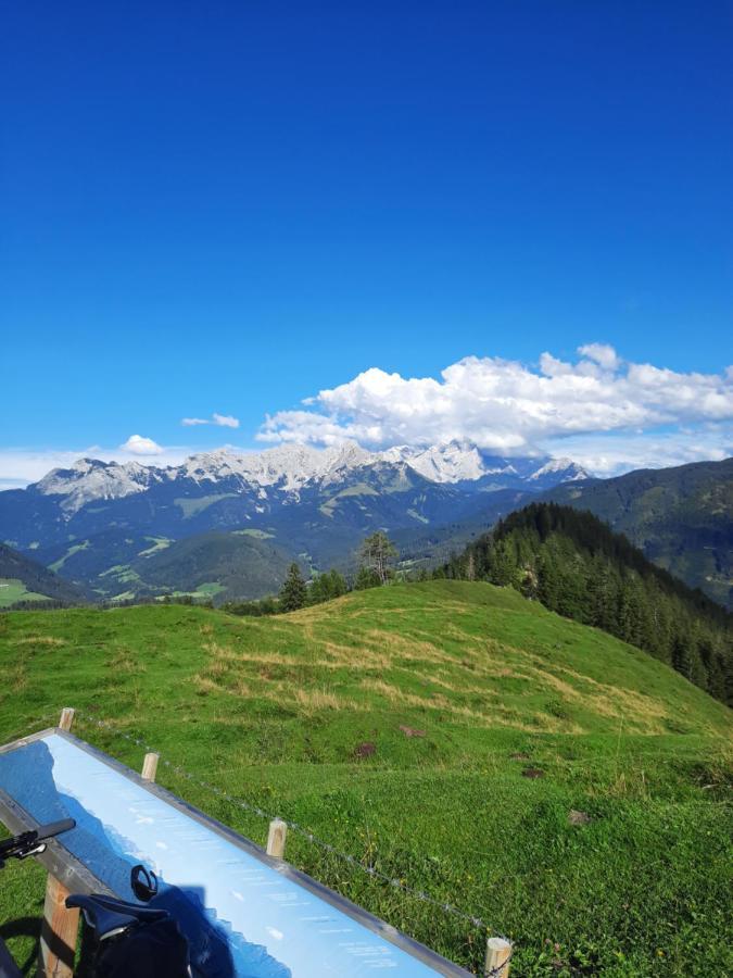 Landhaus Theresia Sankt Martin am Tennengebirge Extérieur photo