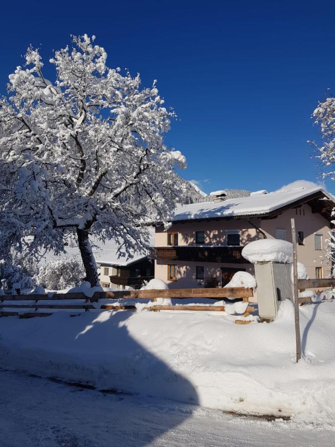 Landhaus Theresia Sankt Martin am Tennengebirge Extérieur photo